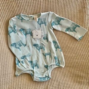 Kate Quinn highland cows